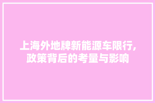 上海外地牌新能源车限行,政策背后的考量与影响