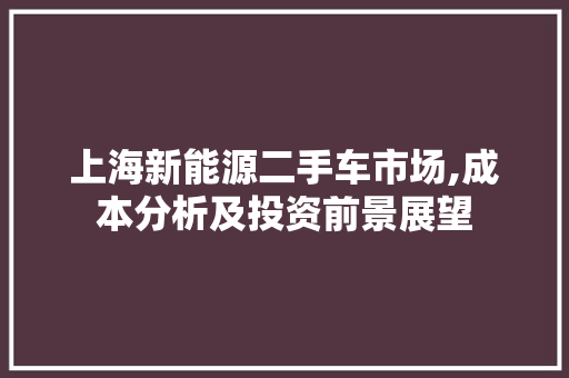 上海新能源二手车市场,成本分析及投资前景展望 新款车型