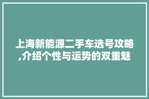 上海新能源二手车选号攻略,介绍个性与运势的双重魅力