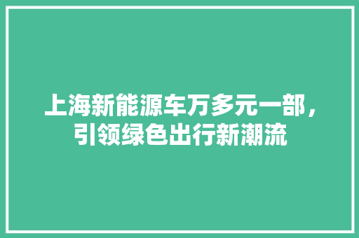 上海新能源车万多元一部，引领绿色出行新潮流