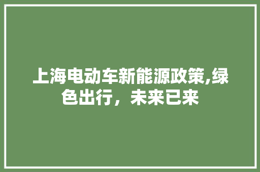 上海电动车新能源政策,绿色出行，未来已来