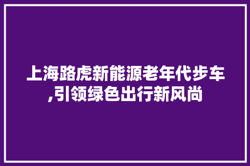 上海路虎新能源老年代步车,引领绿色出行新风尚