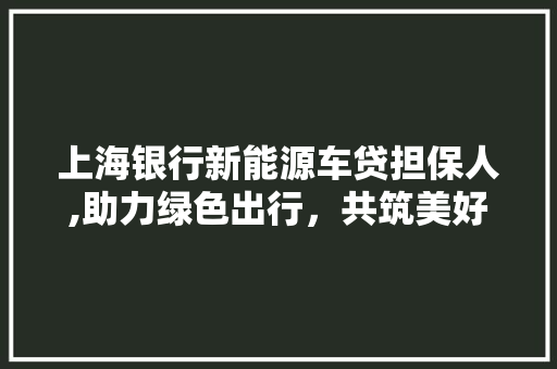 上海银行新能源车贷担保人,助力绿色出行，共筑美好未来 新款车型