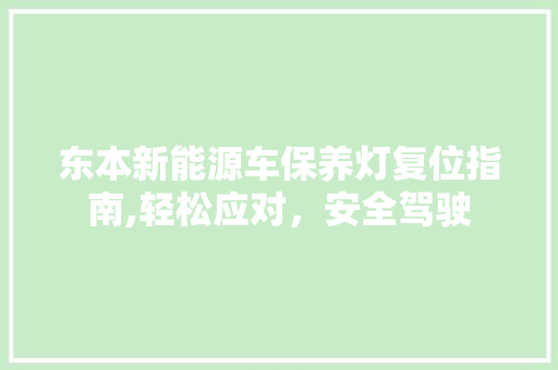 东本新能源车保养灯复位指南,轻松应对，安全驾驶
