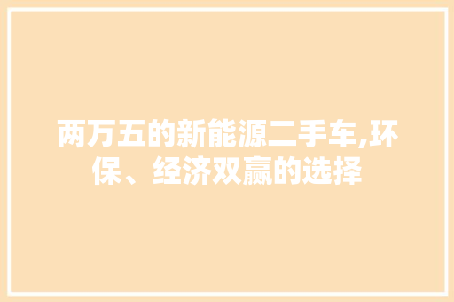 两万五的新能源二手车,环保、经济双赢的选择