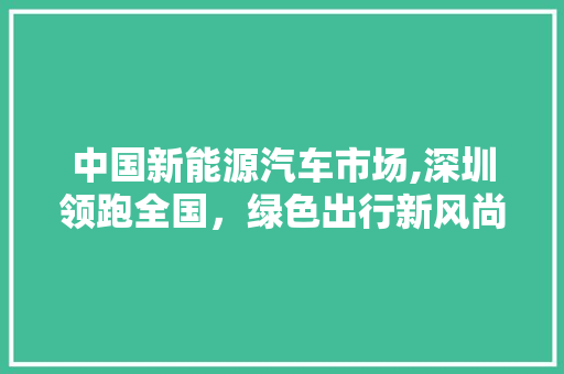 中国新能源汽车市场,深圳领跑全国，绿色出行新风尚