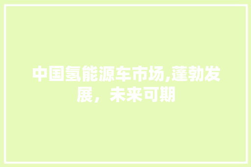 中国氢能源车市场,蓬勃发展，未来可期