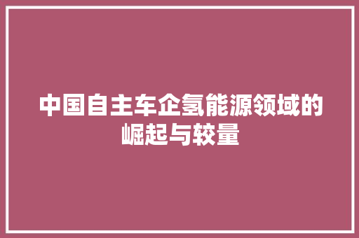 中国自主车企氢能源领域的崛起与较量 底盘配件