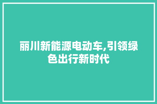 丽川新能源电动车,引领绿色出行新时代 蓄电池配件