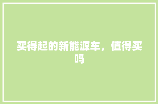 买得起的新能源车，值得买吗