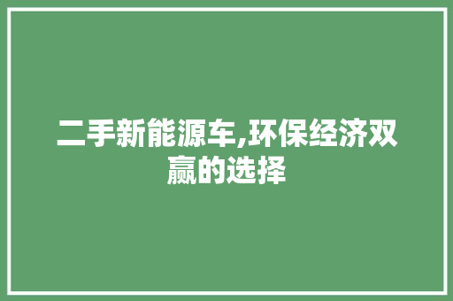 二手新能源车,环保经济双赢的选择 车身配件