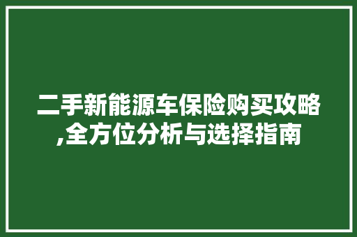 二手新能源车保险购买攻略,全方位分析与选择指南