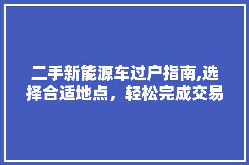 二手新能源车过户指南,选择合适地点，轻松完成交易 蓄电池配件