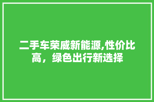 二手车荣威新能源,性价比高，绿色出行新选择