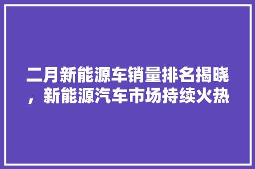 二月新能源车销量排名揭晓，新能源汽车市场持续火热