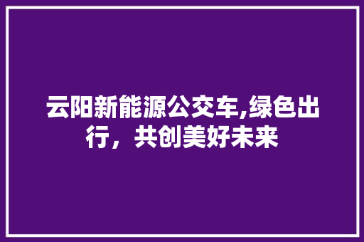 云阳新能源公交车,绿色出行，共创美好未来