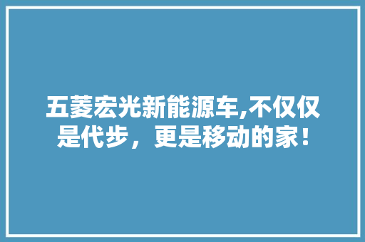 五菱宏光新能源车,不仅仅是代步，更是移动的家！