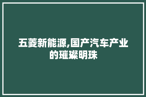 五菱新能源,国产汽车产业的璀璨明珠