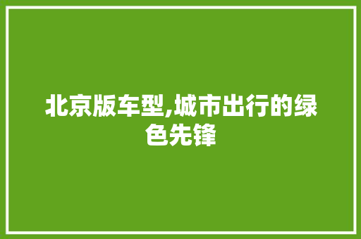 北京版车型,城市出行的绿色先锋