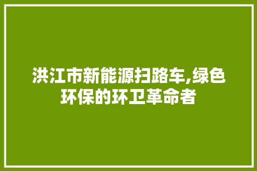 洪江市新能源扫路车,绿色环保的环卫革命者