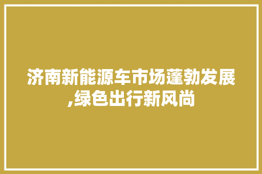 济南新能源车市场蓬勃发展,绿色出行新风尚 蓄电池配件