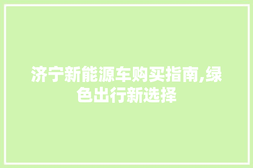 济宁新能源车购买指南,绿色出行新选择