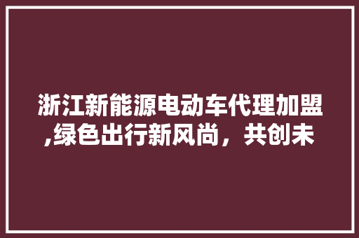 浙江新能源电动车代理加盟,绿色出行新风尚，共创未来美好家园