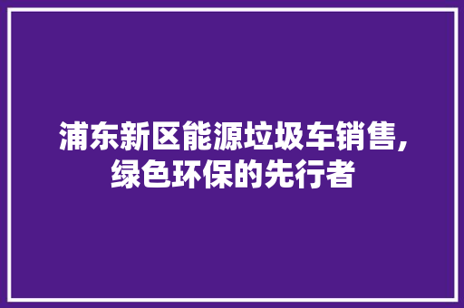 浦东新区能源垃圾车销售,绿色环保的先行者 蓄电池配件