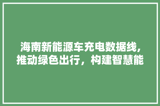 海南新能源车充电数据线,推动绿色出行，构建智慧能源未来
