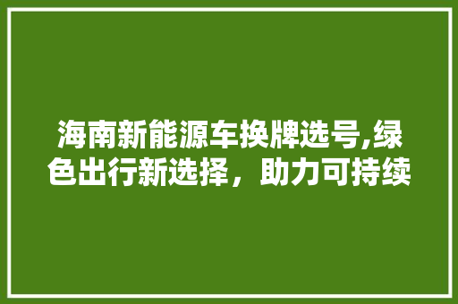 海南新能源车换牌选号,绿色出行新选择，助力可持续发展