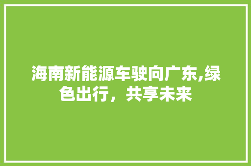 海南新能源车驶向广东,绿色出行，共享未来