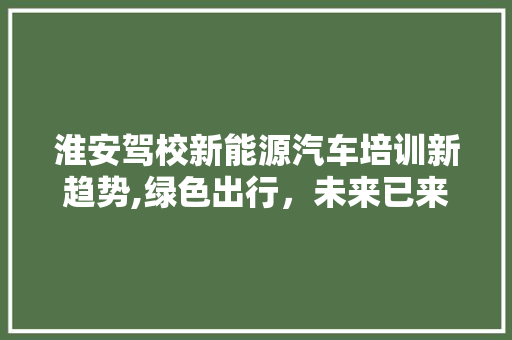 淮安驾校新能源汽车培训新趋势,绿色出行，未来已来 车身配件