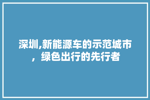 深圳,新能源车的示范城市，绿色出行的先行者