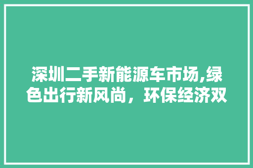 深圳二手新能源车市场,绿色出行新风尚，环保经济双赢