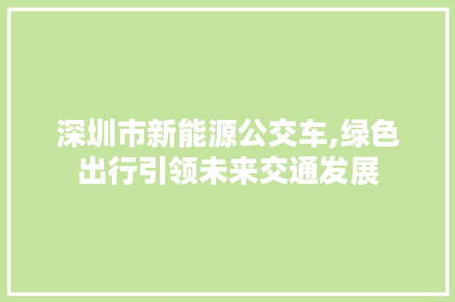 深圳市新能源公交车,绿色出行引领未来交通发展