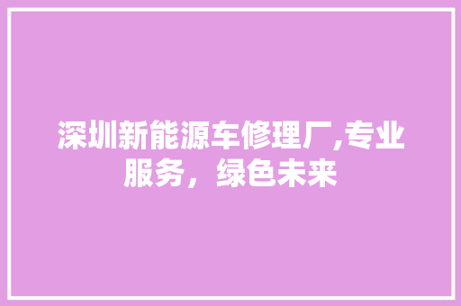 深圳新能源车修理厂,专业服务，绿色未来