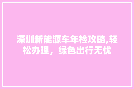 深圳新能源车年检攻略,轻松办理，绿色出行无忧