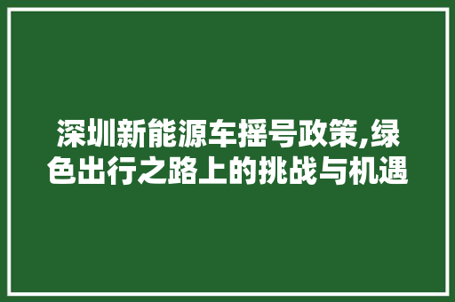 深圳新能源车摇号政策,绿色出行之路上的挑战与机遇