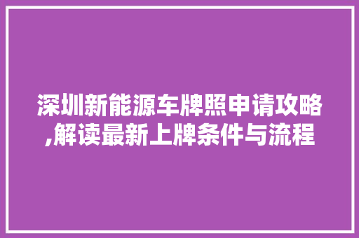 深圳新能源车牌照申请攻略,解读最新上牌条件与流程
