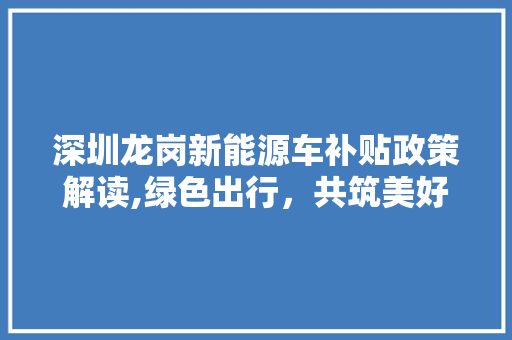 深圳龙岗新能源车补贴政策解读,绿色出行，共筑美好未来