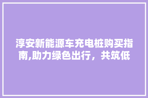 淳安新能源车充电桩购买指南,助力绿色出行，共筑低碳生活