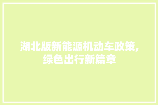 湖北版新能源机动车政策,绿色出行新篇章