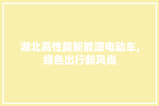 湖北高性能新能源电动车,绿色出行新风尚