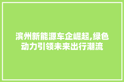 滨州新能源车企崛起,绿色动力引领未来出行潮流