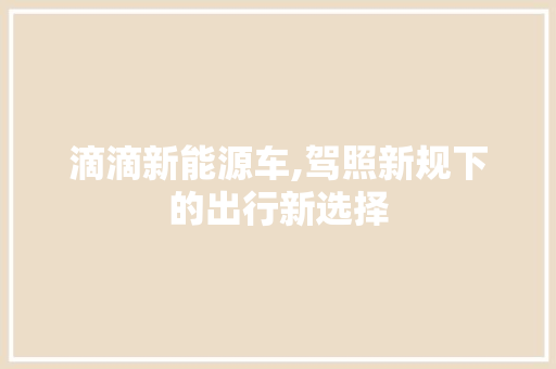 滴滴新能源车,驾照新规下的出行新选择
