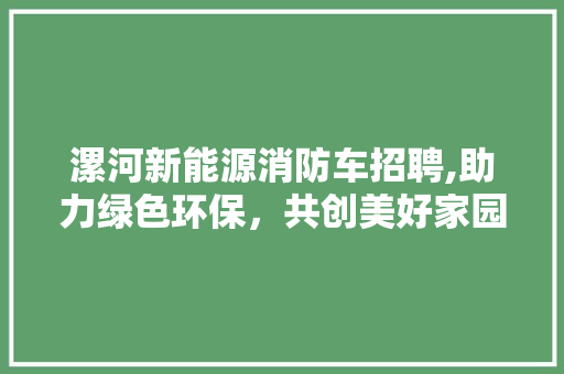 漯河新能源消防车招聘,助力绿色环保，共创美好家园