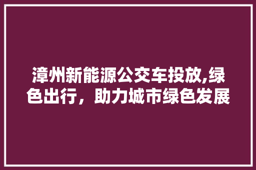 漳州新能源公交车投放,绿色出行，助力城市绿色发展
