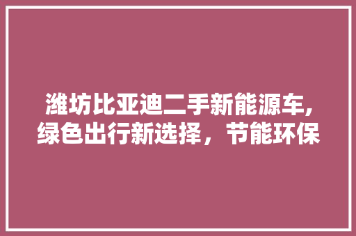 潍坊比亚迪二手新能源车,绿色出行新选择，节能环保两不误