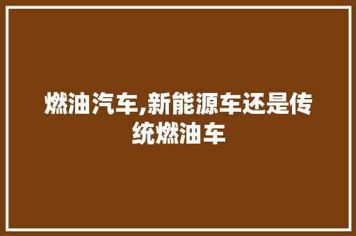 燃油汽车,新能源车还是传统燃油车