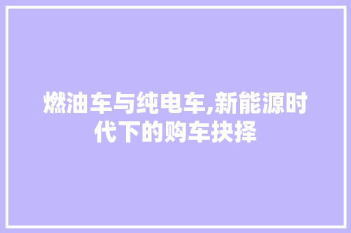 燃油车与纯电车,新能源时代下的购车抉择